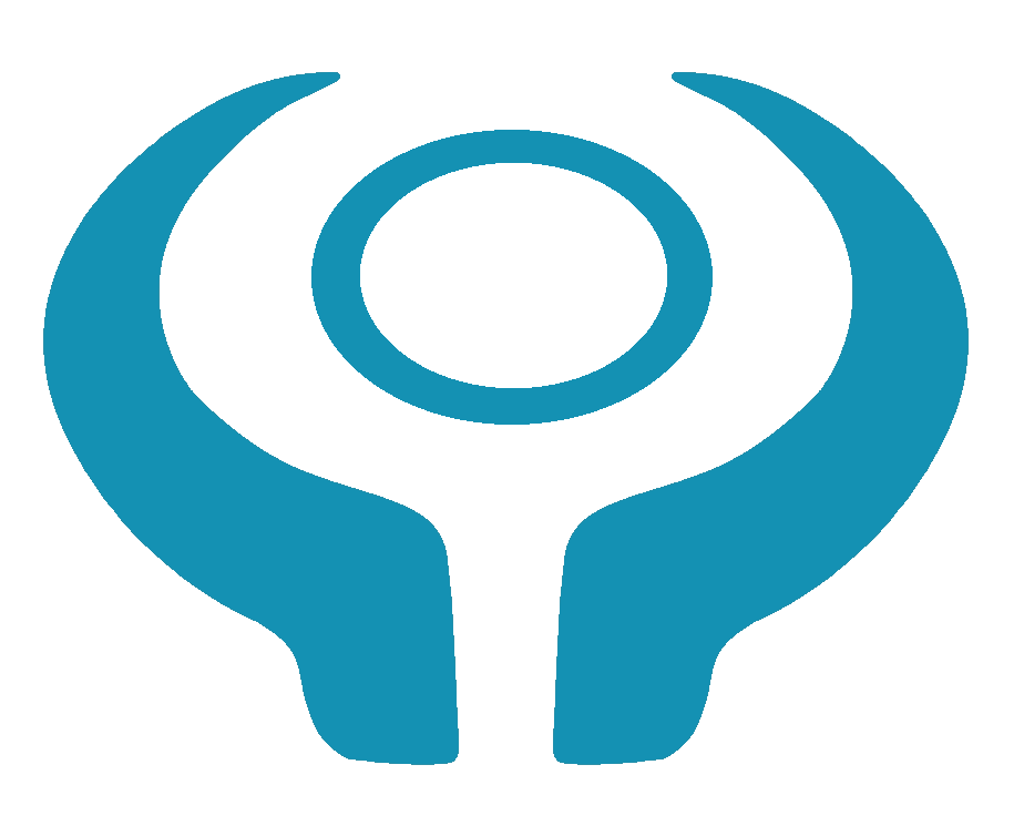 掌上智珠—logo